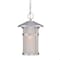 Homeroots 13 x 8 x 8 in. Phoenix 1-Light Brushed Silver Hanging Light 397981 - alternate 1